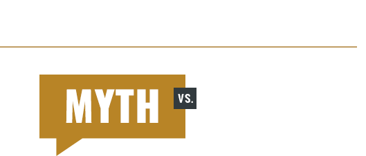 Myth vs Fact Logo